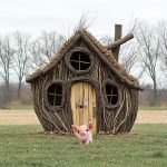 pig in front of stick house