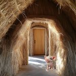 straw house pig